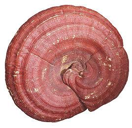 《心灵杀手2》DLC湖边小屋新截图 更加诡异恐怖